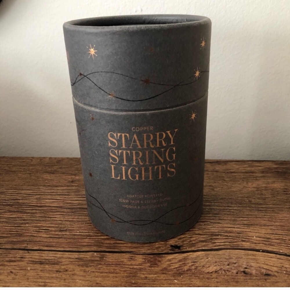 Restoration Hardware Copper Starry String Light